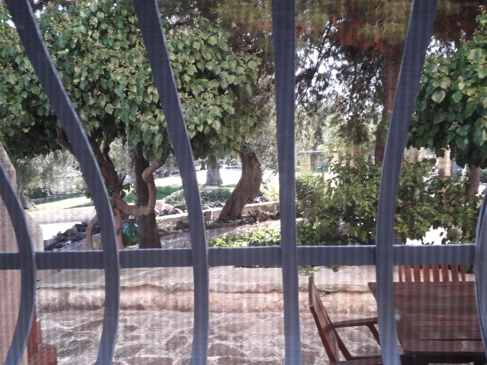 מונופולי Masseria Due Torri חדר תמונה