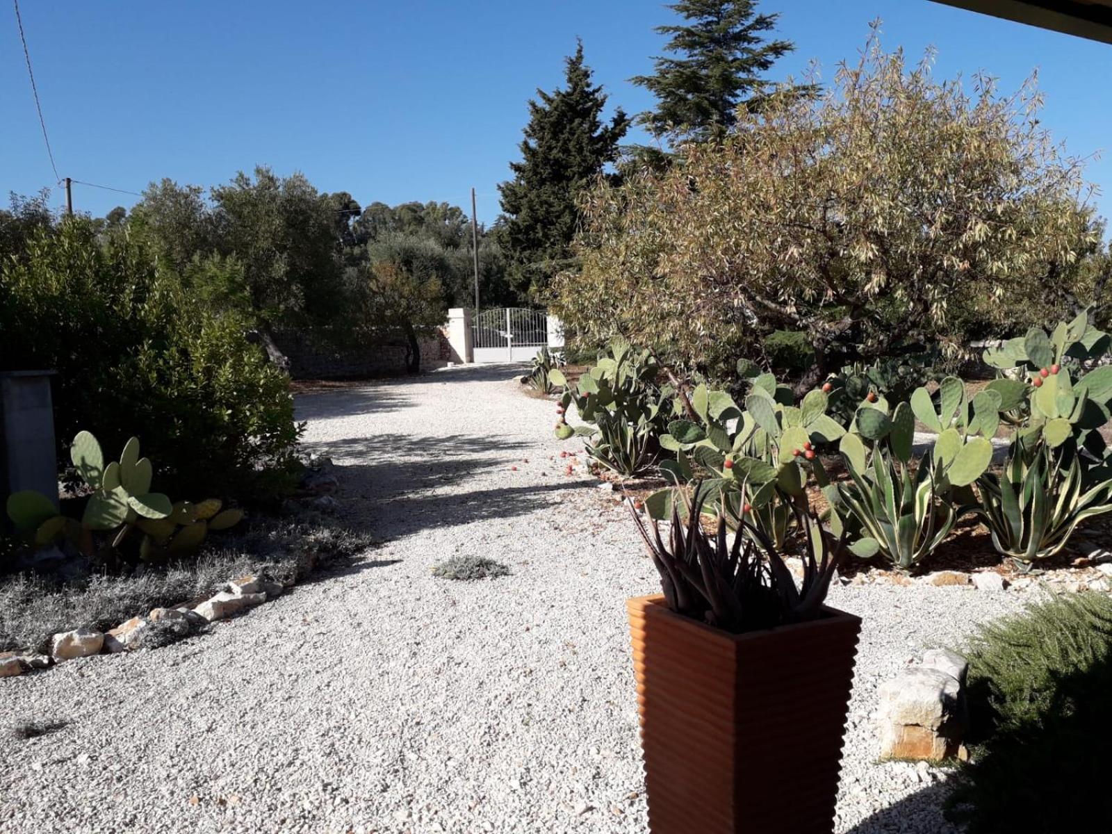 מונופולי Masseria Due Torri חדר תמונה