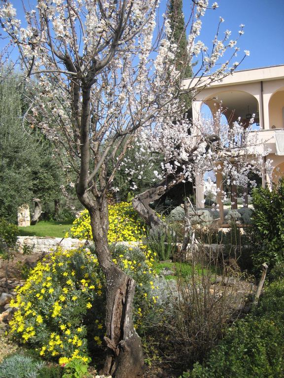 מונופולי Masseria Due Torri חדר תמונה