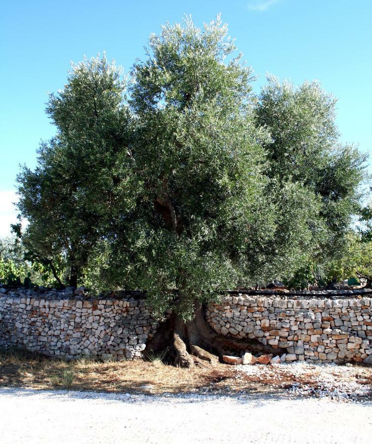 מונופולי Masseria Due Torri מראה חיצוני תמונה