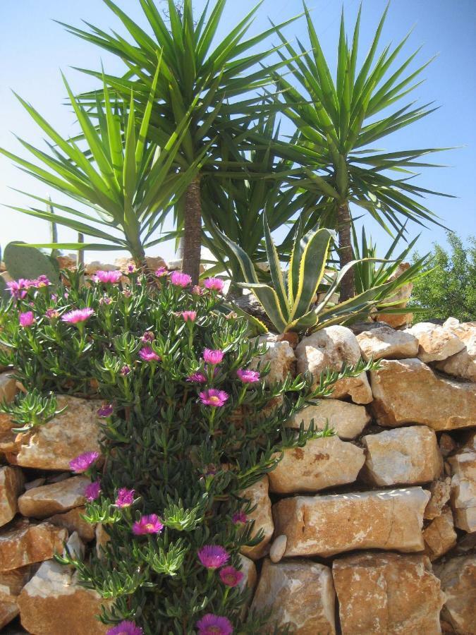 מונופולי Masseria Due Torri מראה חיצוני תמונה
